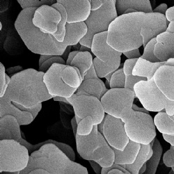 Zirconium Phosphate (ZrP)